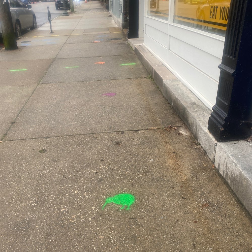 Proper Pie - Social distancing kiwi painted on the sidewalk - Desserts Near Me - Richmond, Virginia Proper Pie - Social distancing kiwi painted on the sidewalk - Desserts Near Me - Richmond, Virginia