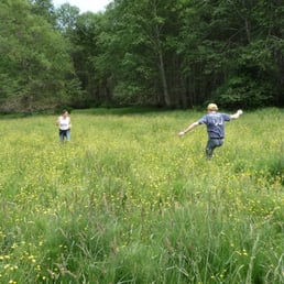 The meadow to Killarney Lake