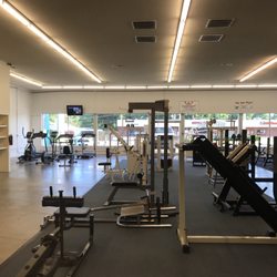 Monsters Bent Barbell