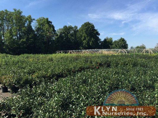 Klyn Nurseries 3322 S Ridge Rd Perry Oh Mapquest Klyn Nurseries 3322 S Ridge Rd Perry