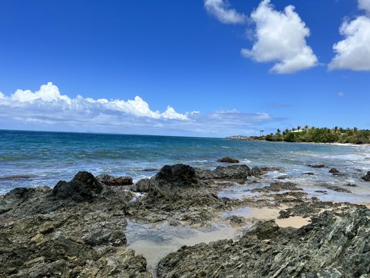 El Gallito ( Gringo Beach ) by null