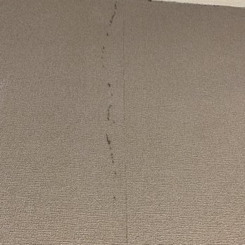 Hilton Garden Inn Gilroy - Ants on the wall - Hotels Near Me - Gilroy, California Hilton Garden Inn Gilroy - Ants on the wall - Hotels Near Me - Gilroy, California