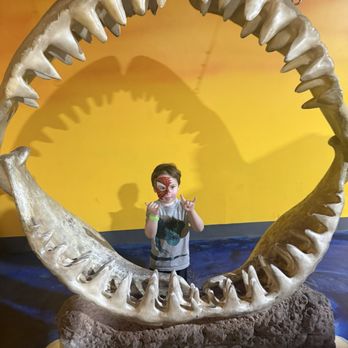 One World Interactive Aquarium - Aquariums Near Me - Las Vegas, Nevada One World Interactive Aquarium - Aquariums Near Me - Las Vegas, Nevada