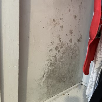 Gold Coast Property Management - Reoccurring mold growing in the walls - Property Management Near Me - Camarillo, California Gold Coast Property Management - Reoccurring mold growing in the walls - Property Management Near Me - Camarillo, California