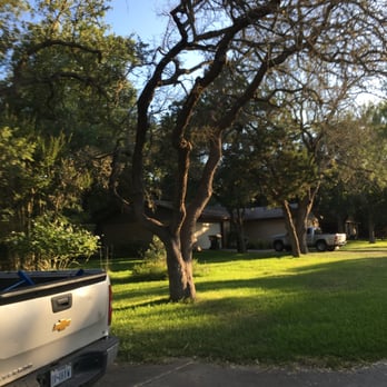 Blue Thunder Tree Services - Tree Services Near Me