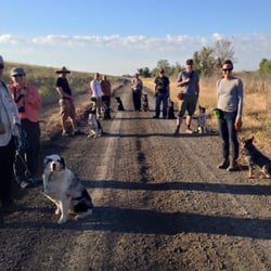 Laughing Dogs - Trails Class