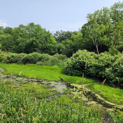 Moraine Hills State Park