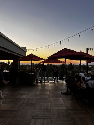 Sky & Vine Rooftop Bar by null
