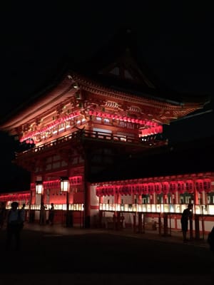 Senbon Torii (Thousand Torii Gates) by null