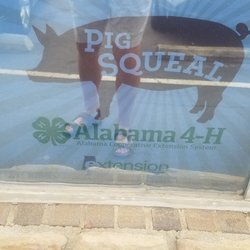 Ace Hardware - Proud supporter Alabama 4 H