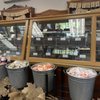Alps Sweet Shop gift card