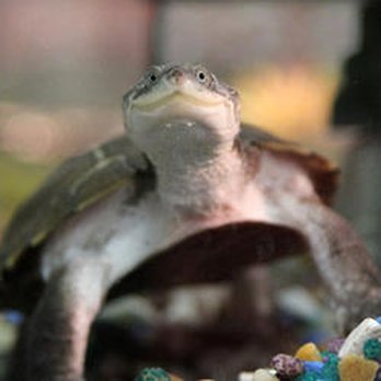 Uncle Bill's Pet Centers East Indianapolis - Pet Stores Near Me - Indianapolis, Indiana Uncle Bill's Pet Centers East Indianapolis - Pet Stores Near Me - Indianapolis, Indiana