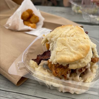 Handsome Biscuit by null