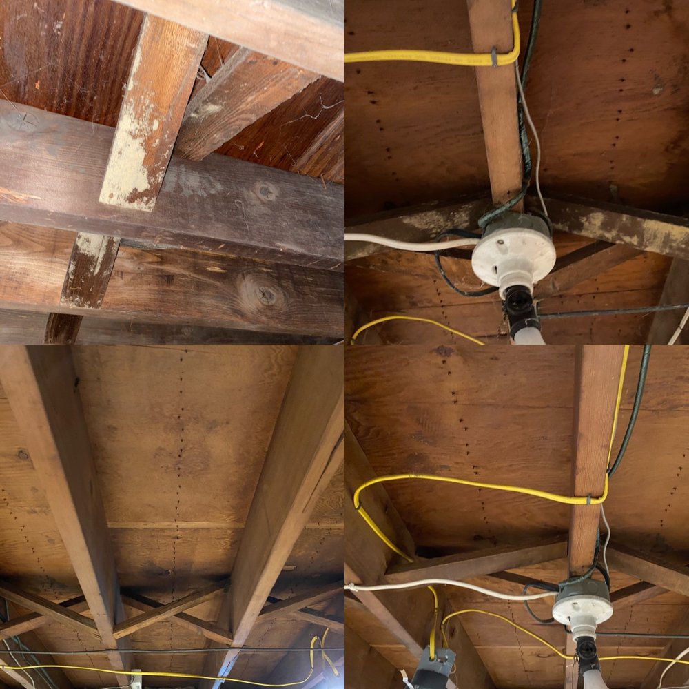 Dynamic Remediation Solutions Inc - mold inspector in Newtown, PA