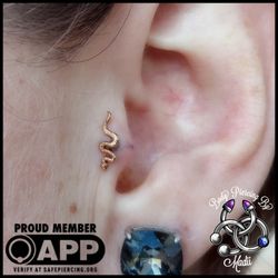 Body Piercings By Madii - Tragus piercing with solid yellow gold snake