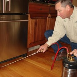 Ingram Pest Service
