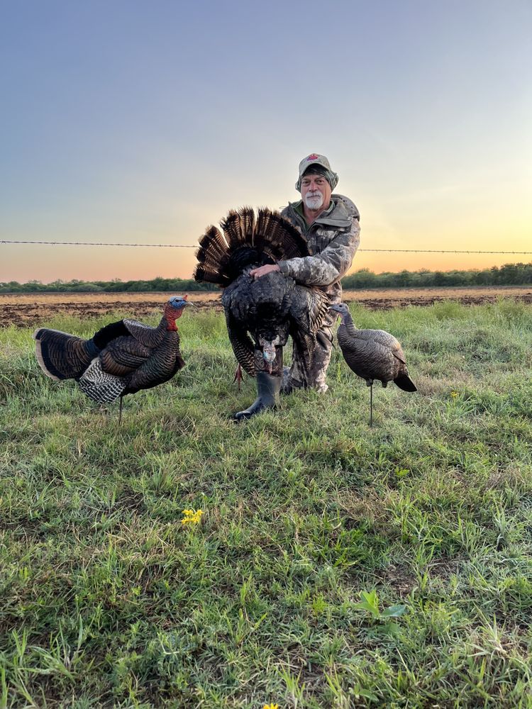 COASTAL WINGS Updated September 2024 12 Photos 23658 EW Co Rd