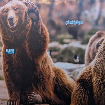 Big Dipper Homemade Ice Cream - Loved these bears! - Ice Cream & Frozen Yogurt Near Me - Wasilla, Alaska Big Dipper Homemade Ice Cream - Loved these bears! - Ice Cream & Frozen Yogurt Near Me - Wasilla, Alaska
