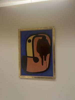 Serralves Museum of Contemporary Art by null