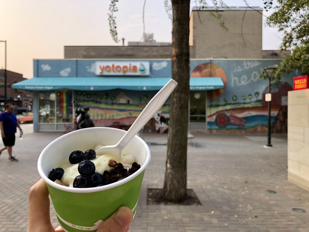 YOTOPIA FROZEN YOGURT 60 Photos & 84 Reviews 132 S Clinton St, Iowa