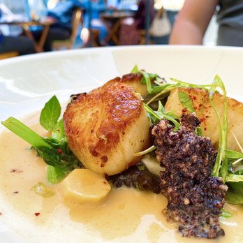 TORC - Maine Diver Scallops w/ cloud ear mushrooms, burdock root, pea tendrils, spicy coconut broth | $36 - New American Near Me - Napa, California TORC - Maine Diver Scallops w/ cloud ear mushrooms, burdock root, pea tendrils, spicy coconut broth | $36 - New American Near Me - Napa, California