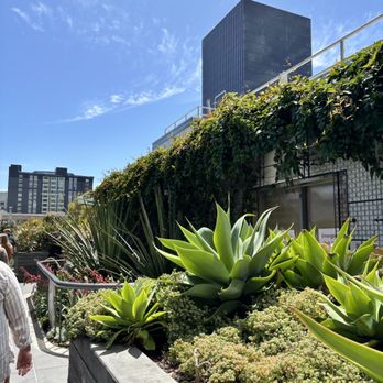 Salesforce Park - Parks Near Me - San Francisco, California