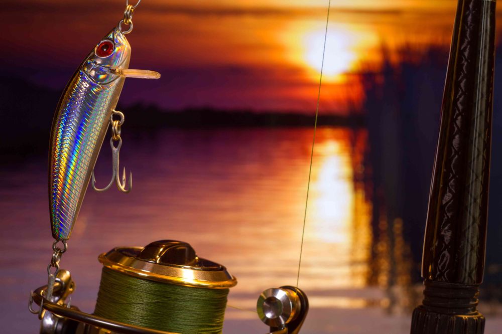 Boynton Inlet Fishing Charters Logo