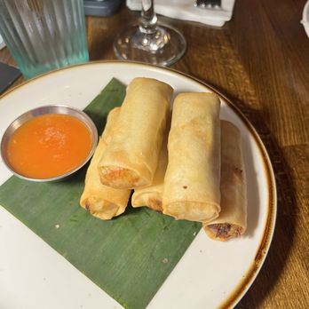 Splash of Thai - Thai Spring Roll - Thai Near Me - Westfield, New Jersey Splash of Thai - Thai Spring Roll - Thai Near Me - Westfield, New Jersey