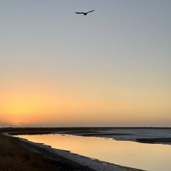 Alviso Marina County Park - Parks Near Me - Alviso, California