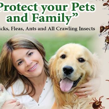 Planet Friendly Pest Control - Pest Control Near Me Planet Friendly Pest Control - Pest Control Near Me