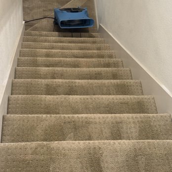Platinum Carpet Cleaning - Carpet Cleaning Near Me Platinum Carpet Cleaning - Carpet Cleaning Near Me