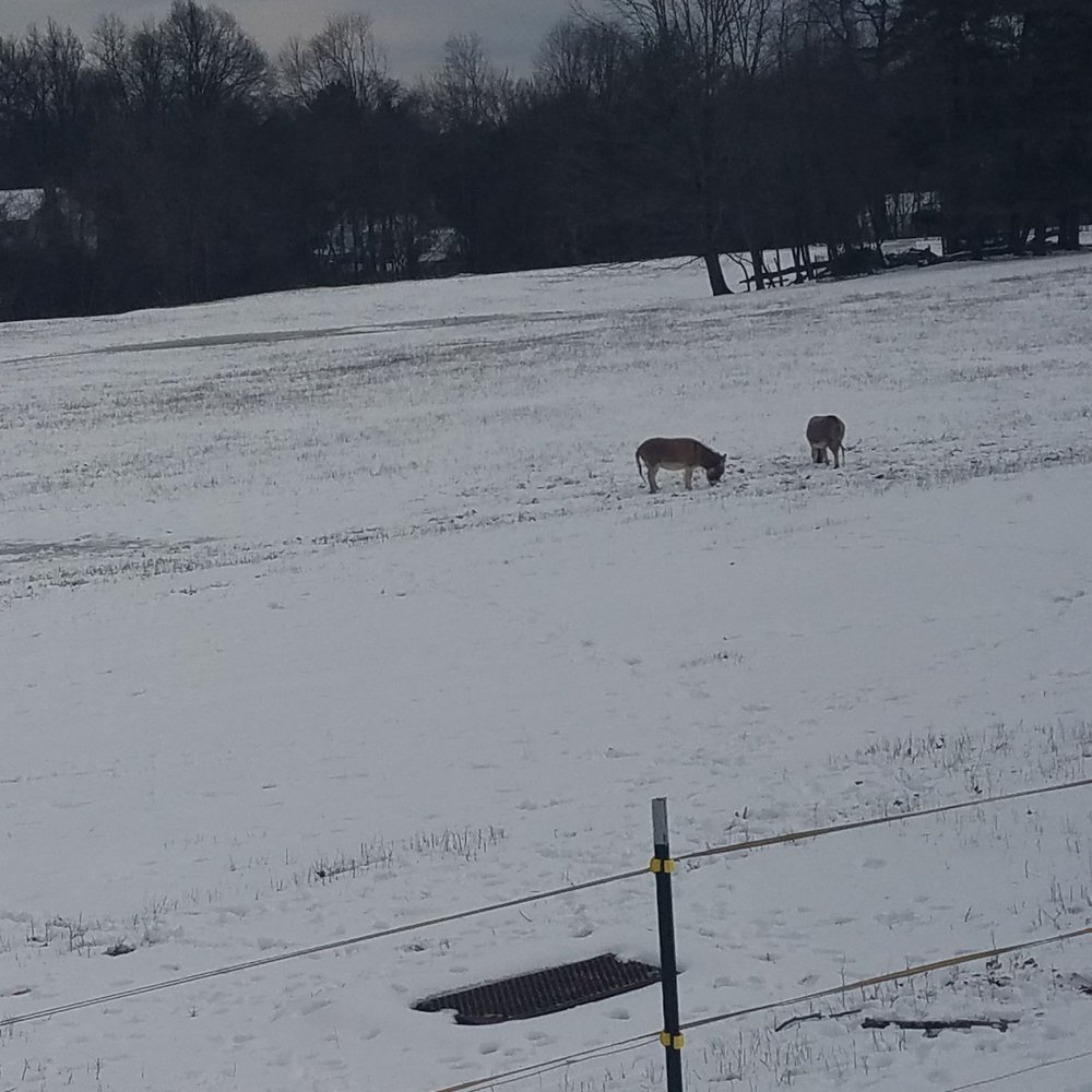 WESTMOOR PARK Updated October 2024 52 Photos & 11 Reviews 119