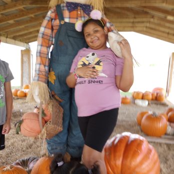 The Little Farm - Pumpkin Patches Near Me - Miami, Florida The Little Farm - Pumpkin Patches Near Me - Miami, Florida