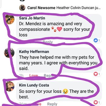 Animal Care Hospital - Veterinarians Near Me - Lompoc, California Animal Care Hospital - Veterinarians Near Me - Lompoc, California