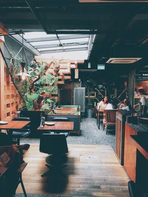 Birds of a Feather by null