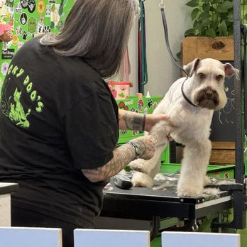 Lucky Doo's - Rachel with Mr Zekie - Pet Groomers Near Me - Redding, California Lucky Doo's - Rachel with Mr Zekie - Pet Groomers Near Me - Redding, California