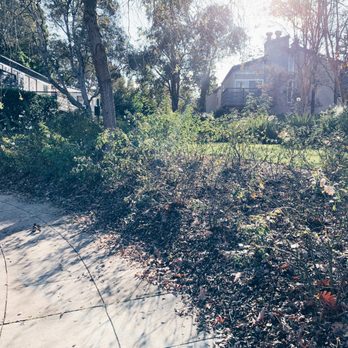 Shadowbrook Apartments - Apartments Near Me - Sunnyvale, California