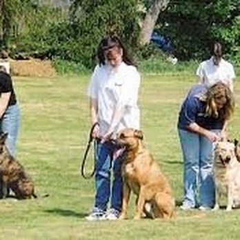Best Paws-Abilities - Group Lessons - Pet Training Near Me Best Paws-Abilities - Group Lessons - Pet Training Near Me