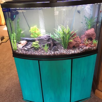 Concord Aquarium - Local Fish Stores Near Me - Concord, California