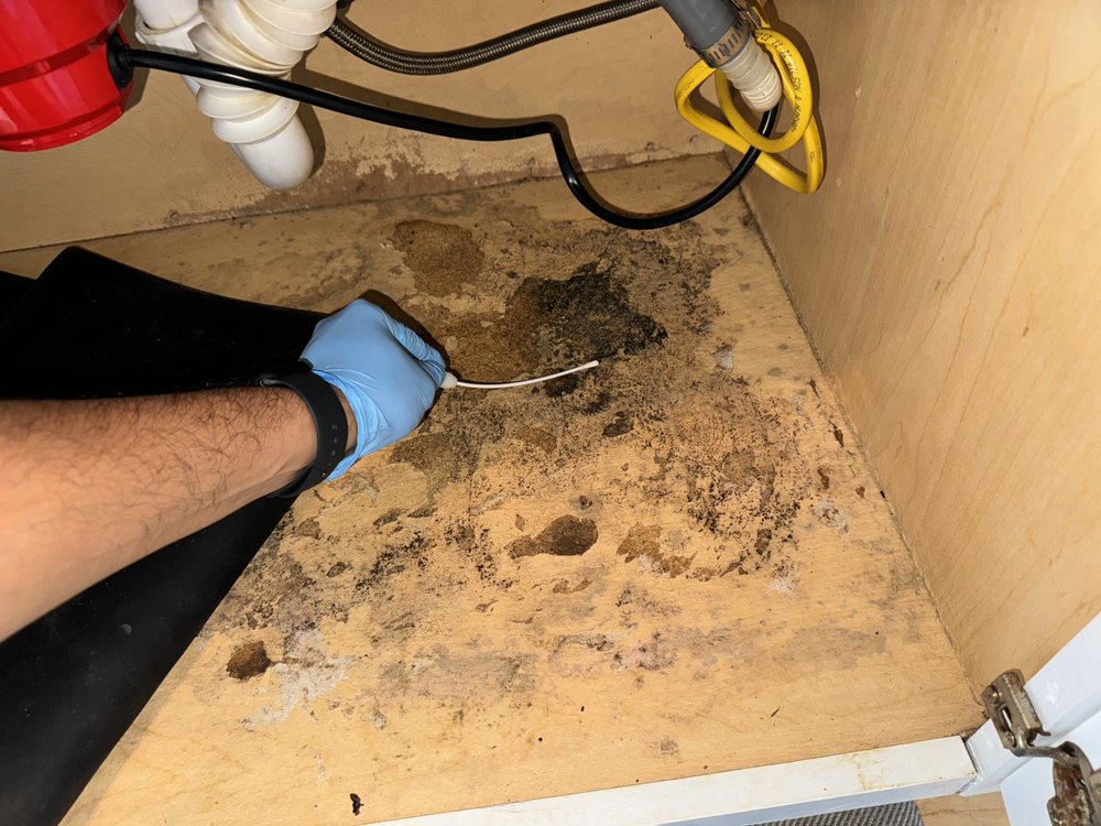Air-Mazing - mold inspector in Hollywood, FL