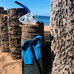 West Maui Sailing School - Snorkel Gear Rentals