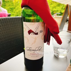 LewensLust - Eigenes Weingut und eigener Wein...