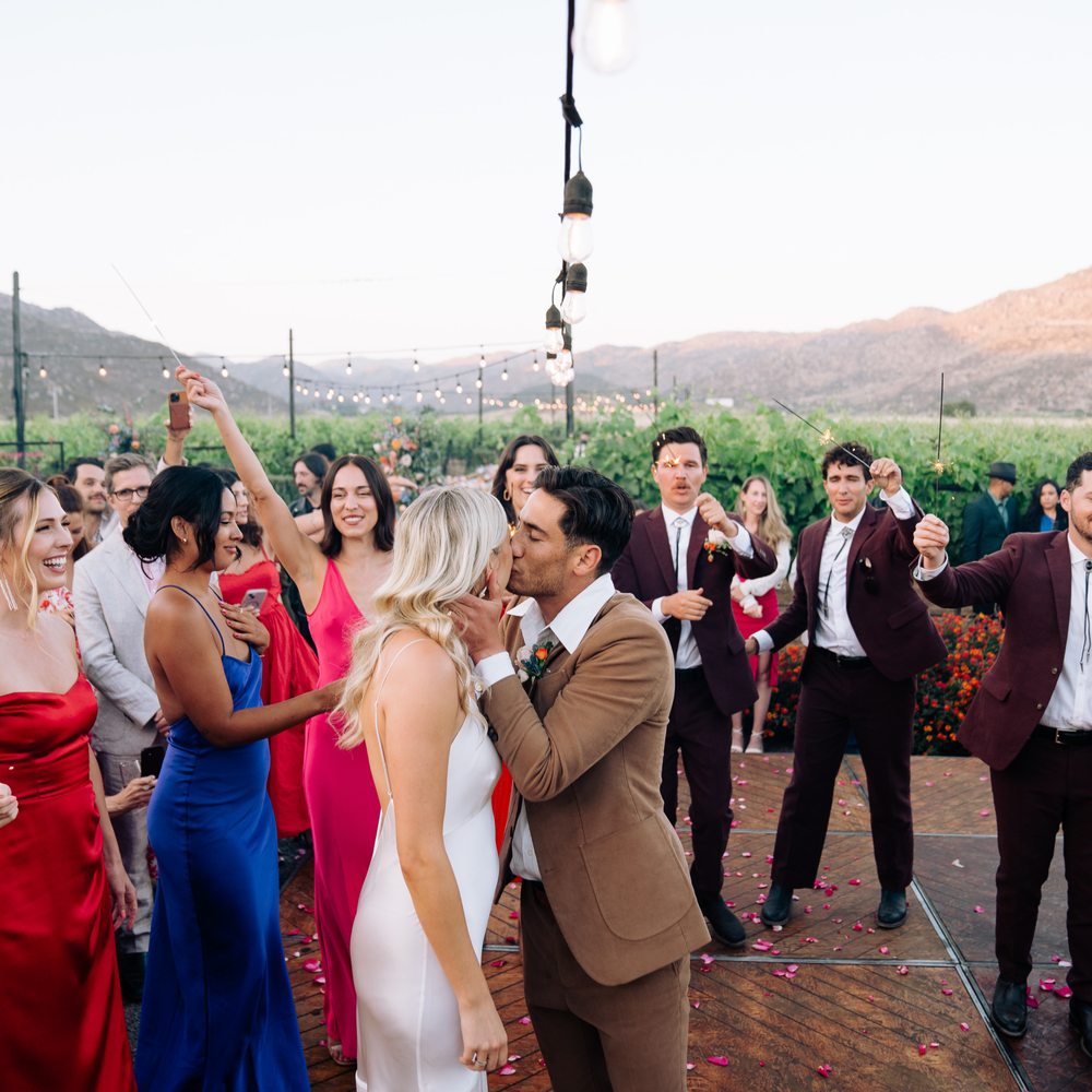 Trevista Vineyards - Wine Tasting Room Near Me - Ensenada, BCN