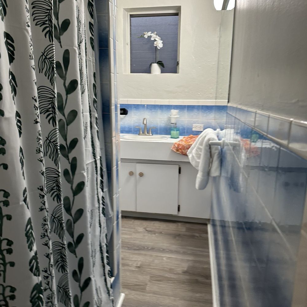 The Green Iguana Hotel - Bathroom - Hotels Near Me - St Thomas, Virgin Islands The Green Iguana Hotel - Bathroom - Hotels Near Me - St Thomas, Virgin Islands