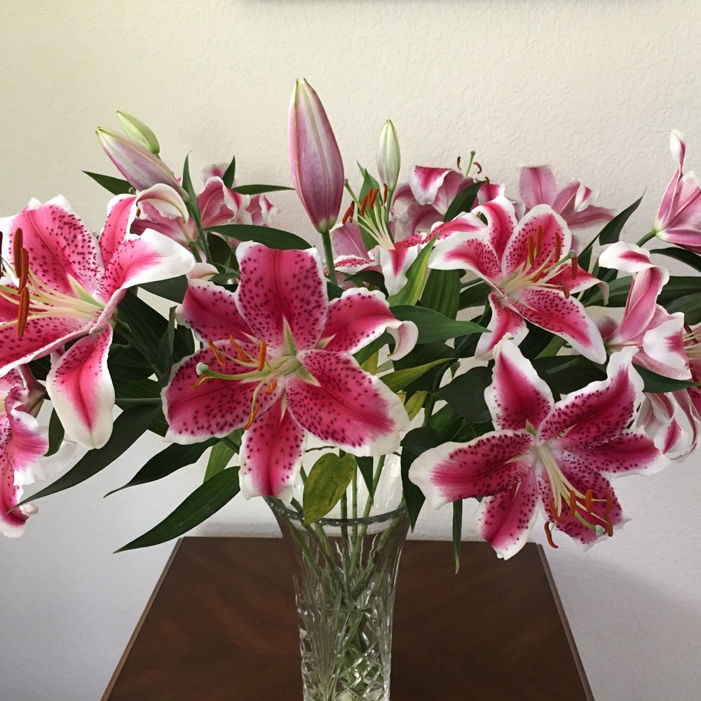 Franco's Flowers - Florists Near Me - Encinitas, California Franco's Flowers - Florists Near Me - Encinitas, California