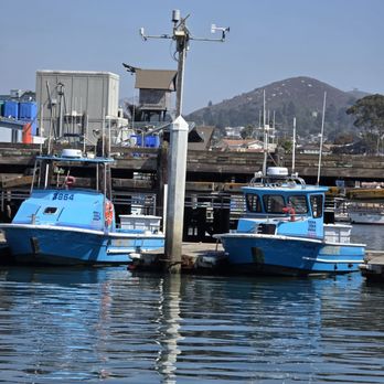 Sub Sea Tours - Rafting/Kayaking Near Me - Morro Bay, California Sub Sea Tours - Rafting/Kayaking Near Me - Morro Bay, California
