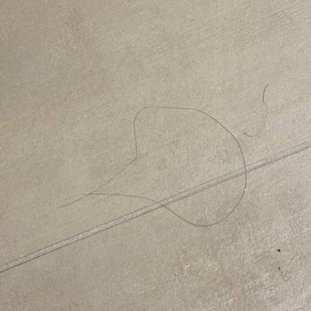Element Valley Forge - Hairs on the floor which are Not mine. My head is shaved. - Hotels Near Me - King of Prussia, Pennsylvania Element Valley Forge - Hairs on the floor which are Not mine. My head is shaved. - Hotels Near Me - King of Prussia, Pennsylvania