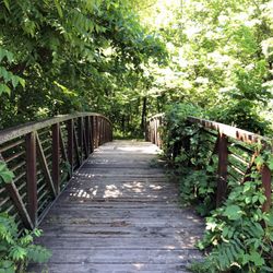 Tomahawk Valley Park - Bridge over the Creek