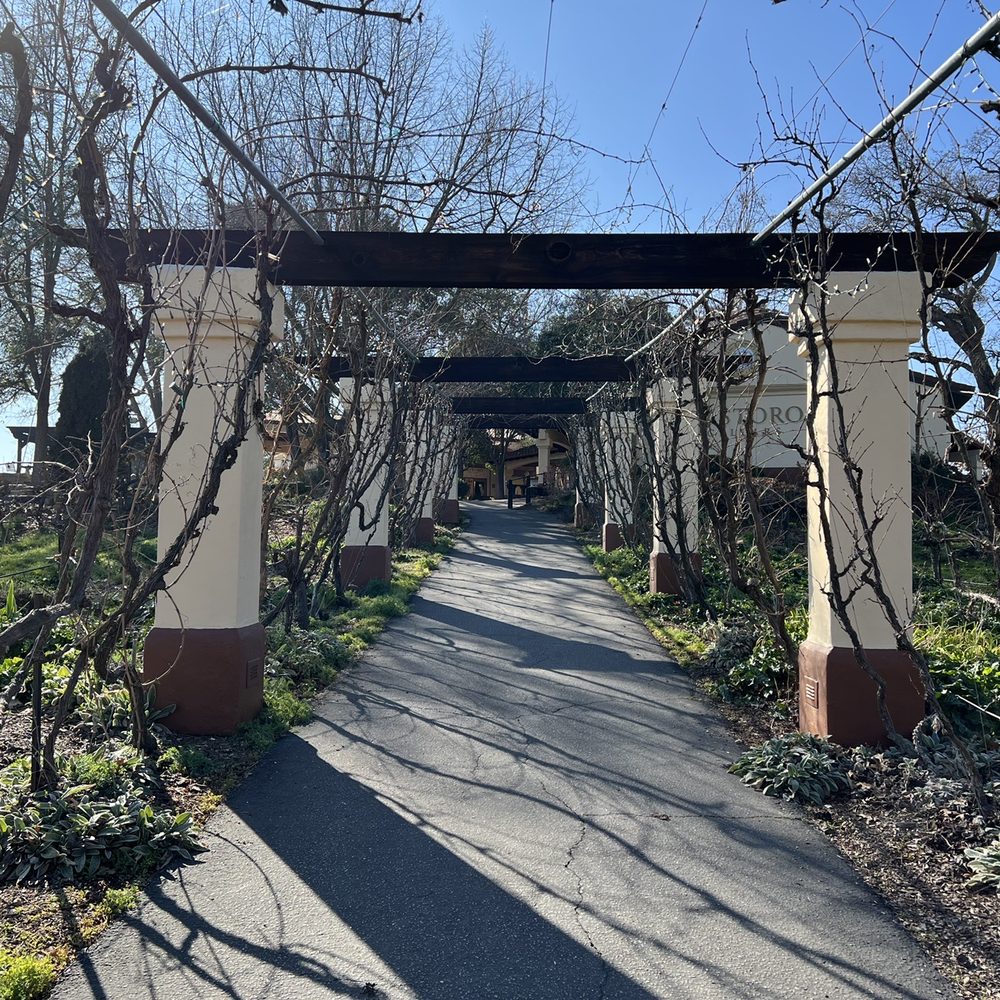 Castoro Cellars - Wineries Near Me - Templeton, California Castoro Cellars - Wineries Near Me - Templeton, California