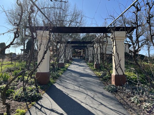 Castoro Cellars Vineyards & Winery by null